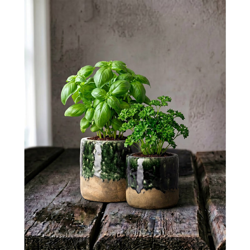 Übertopf The Moss – Detailaufnahme der Oberfläche
